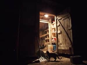 chickencoop2