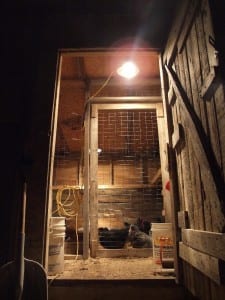 chickencoop3