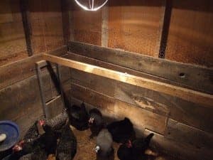 chickencoop7