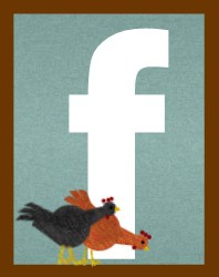 Facebook