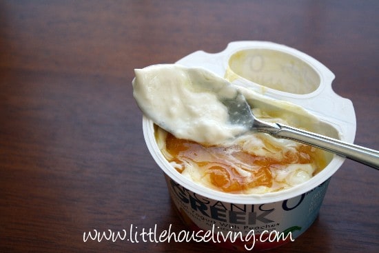 wallabyyogurt-002 (1)