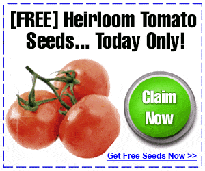 Survival Seeds