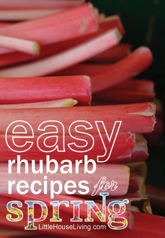 Have an abundance of Rhubarb? You need to try some of these easy rhubarb recipes that are perfect for springtime!