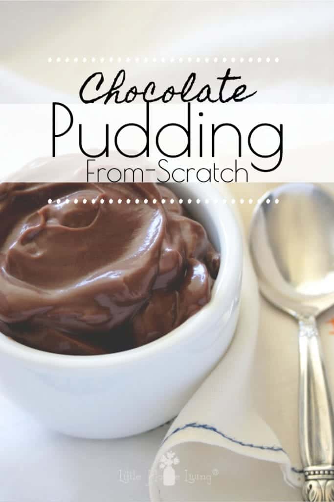 This Homemade Chocolate Pudding recipe from scratch is an easy and frugal treat! It's so delicious and rich you can enjoy it for a snack or as dessert, you'll never want to buy those plastic pudding cups again! #homemadepudding #homemadechocolatepudding #chocolatepuddingfromscratch #glutenfree 
