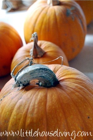 preserving pumpkin
