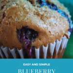 Looking for a basic, tasty muffin that you can make with fresh berries? These Blueberry Muffins make a perfect breakfast or afternoon snack!