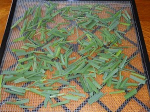 Drying Lemongrass