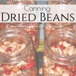 Canning dry beans is an easy and frugal way to have beans available for quick meals and is a great project to do during the winter months when you don't have fresh garden vegetables that need to be canned. #canning #preserving #driedbeans #soakedbeans #beans #canningdrybeans
