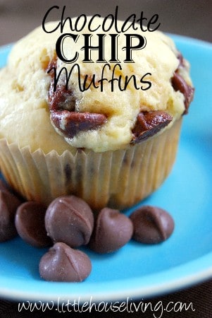 Chocolate Chip Muffins Recipe