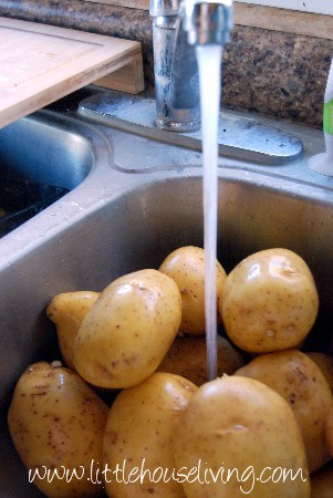 Washing Potatoes