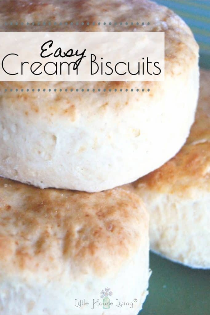 If you've been looking for an easy biscuit recipe, you will love this one! With only a couple of ingredients, you can make a wonderful fluffy biscuit that the whole family is sure to love. #homemadebiscuits #scratchrecipe #biscuitsfromscratch #easyrecipes #yummy
