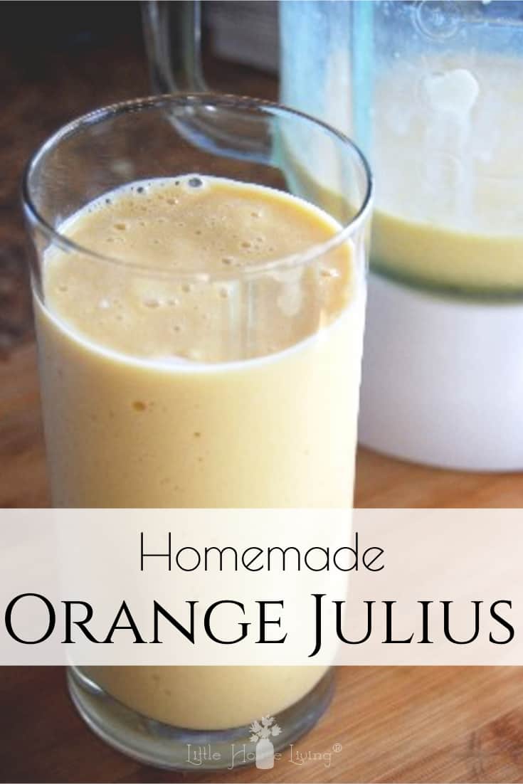 Homemade Natural Orange Julius Recipe