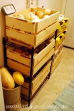 DIY Cold Storage and Frugal Root Cellar Ideas