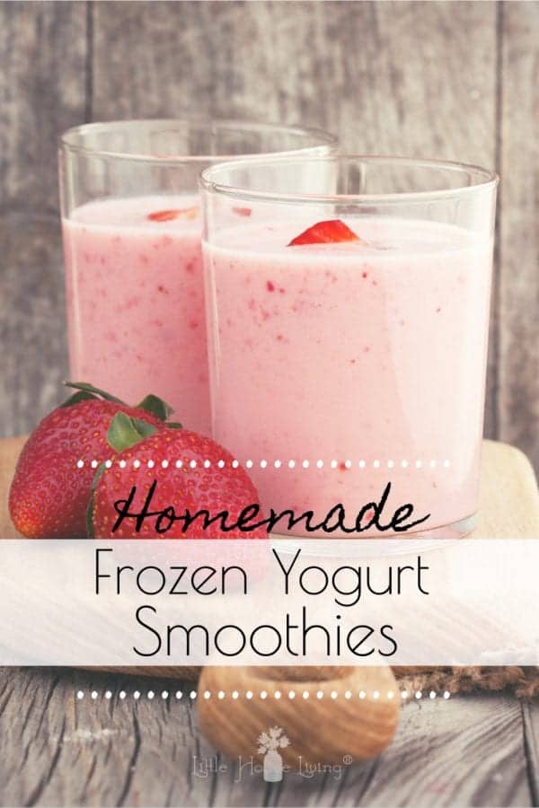 Frozen Yogurt Smoothie Recipe Delicious Homemade Smoothie Recipe