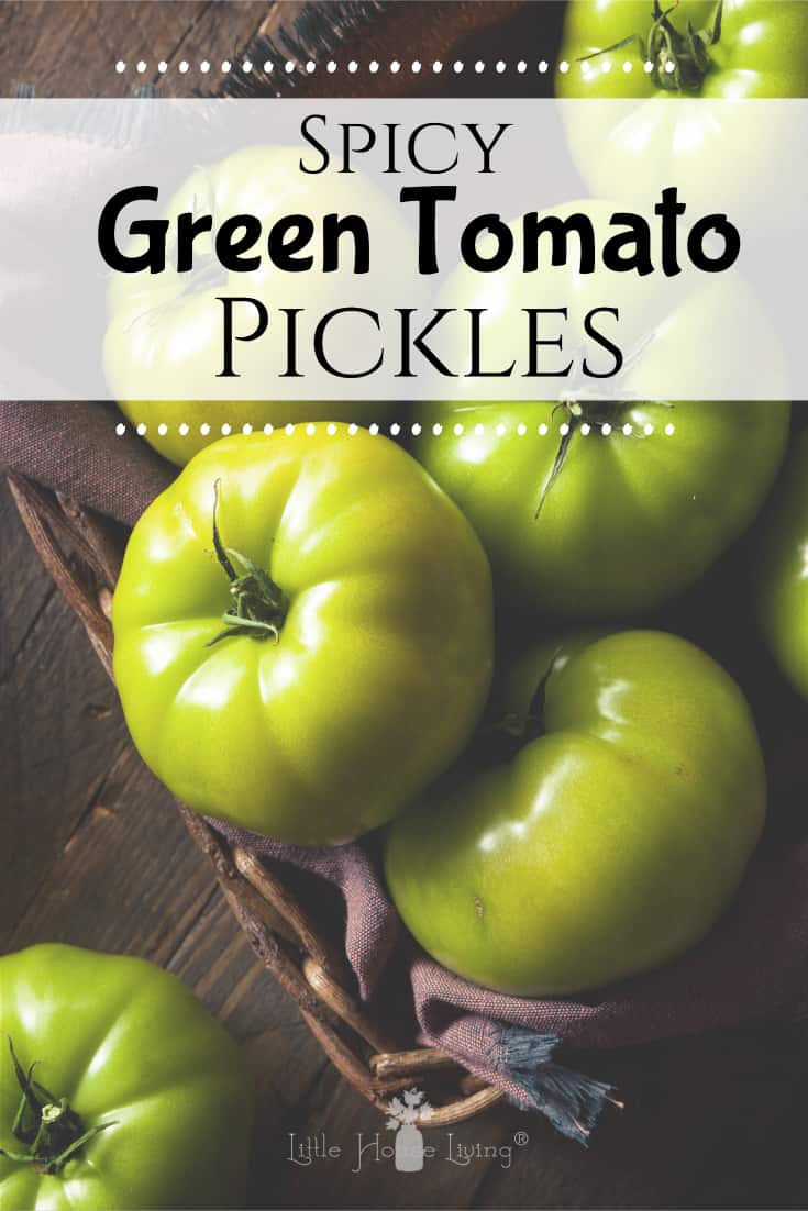 Do you have some green tomatoes sitting around from your garden that fell off the vines? Maybe where you live the frost has already come and you have green tomatoes from pulling your harvest. Well, today we are going to show you how to make Green Tomato Pickles! #greentomatopickles #tomatopickles #spicypickles