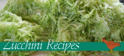 Quick zucchini recipes