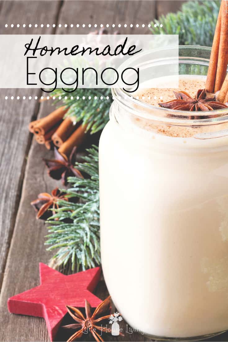 Homemade Eggnog - How to Make Eggnog - Make Your Own Eggnog