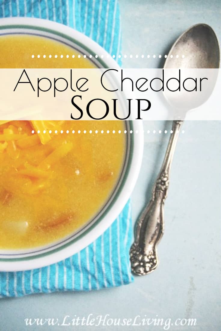 Apple Cheddar Soup Recipe