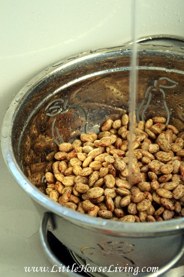 Canning Pinto Beans