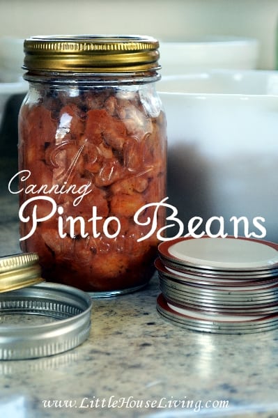 Canning Pinto Beans