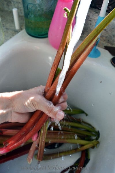Canning Rhubarb