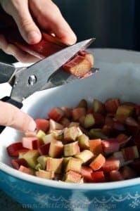 Canning Rhubarb