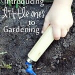 Introducing Little Ones to Gardening