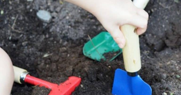 Introducing Little Ones to Gardening