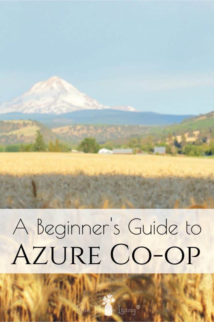A Beginner's Guide to Azure Standard