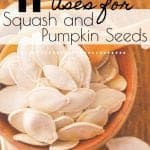 Squash comes in many varieties and have a slew of health benefits. Check out these Uses for Squash Seeds to begin taking advantage of all this fruit has to offer! #squashseeds #pumpkinseeds 