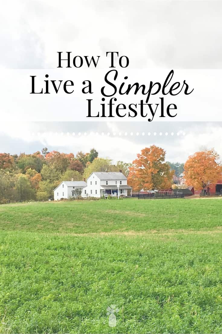 Do you wish that your life would just slow down a little bit? That you could capture the life that you've always dreamed about but instead seem to be caught up in the busyness of day-to-day living? Here are 14 actionable steps towards simpler living that you can start right now. #simple #simpleliving #simplelife #homesteading #simplerliving