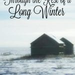 If you are looking for some projects or activities that can keep your mind busy during these last few weeks of winter, I have some fun suggestions for you today. #longwinter #winterboredombusters #wintersanity #winter 