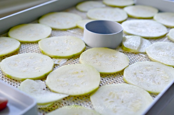 Salted Zucchini Chips