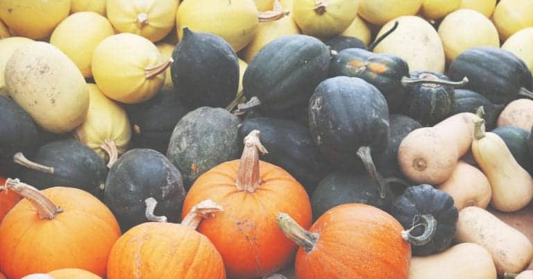 Cooking Winter Squash (In the Slow Cooker!)