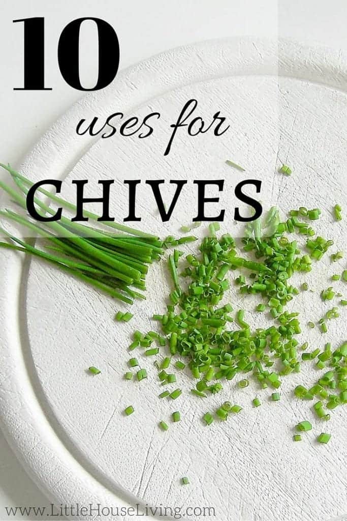 There are many ways to use chives in and around the house. Here are 10 uses for chives that may leave you surprised and impressed by this versatile plant. #gardening #chives #usesforchives