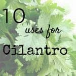 10 Uses For Cilantro