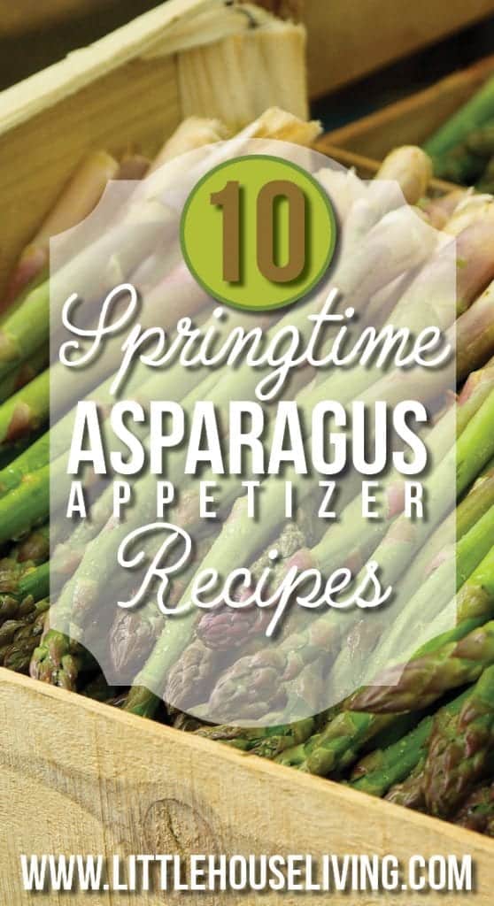 Asparagus Appetizer Recipes