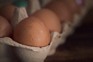 What to Do With Extra Eggs - How to Use Excess Eggs -Little House Living