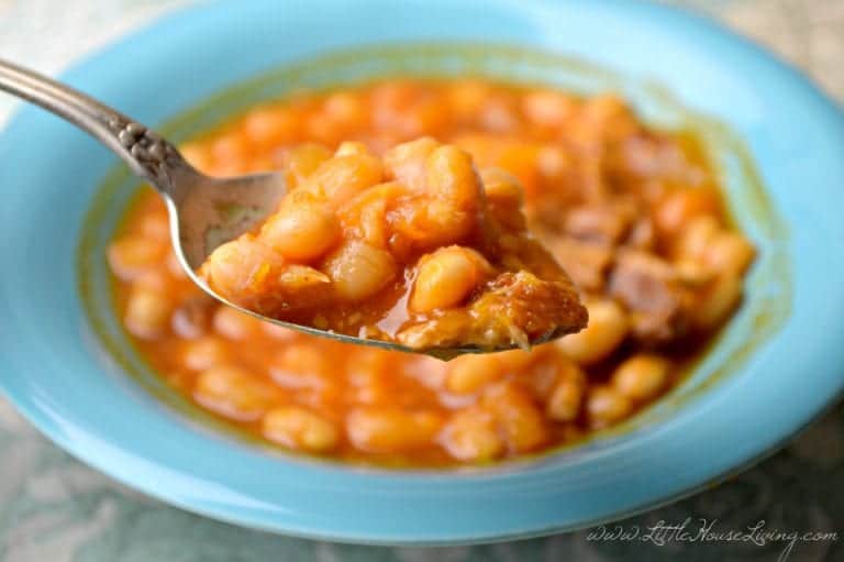 Super Frugal Bean with Bacon Soup Recipe