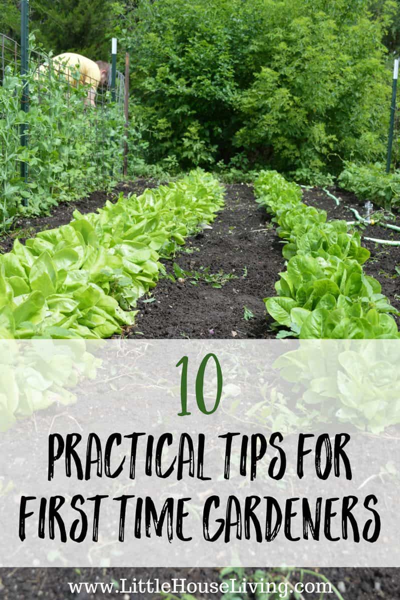 10 Practical Tips for First Time Gardeners That You Need to Know