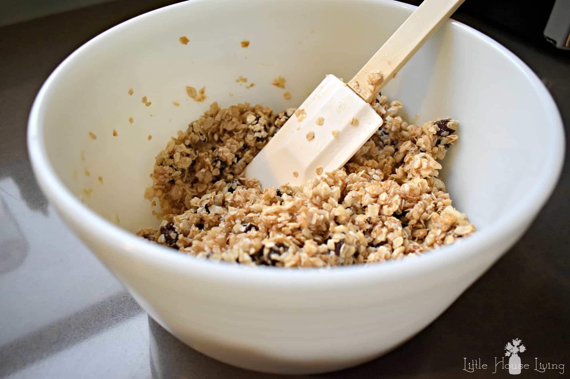 Homemade Oatmeal Raisin Granola Bars Recipe No Bake
