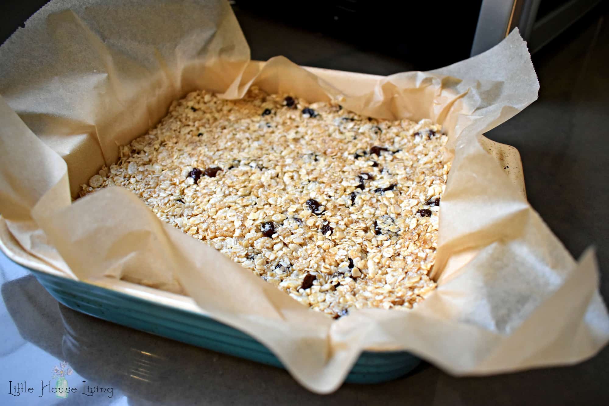 Homemade Oatmeal Raisin Granola Bars Recipe No Bake