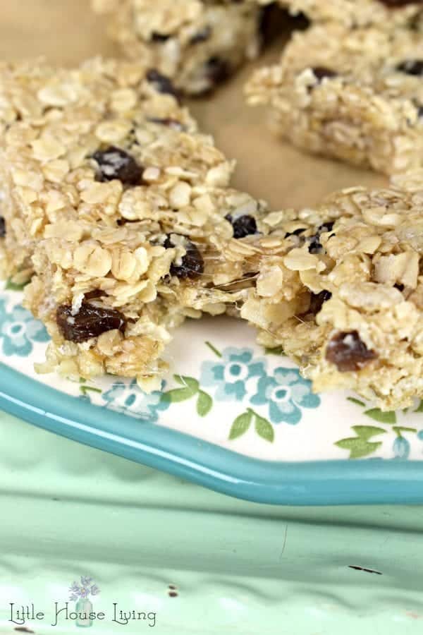 Homemade Oatmeal Raisin Granola Bars Recipe No Bake
