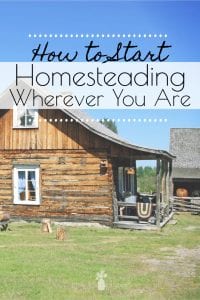 How to Start Homesteading Wherever You Are - Little House Living