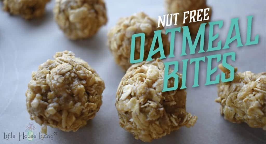Nut Free Oatmeal Bites