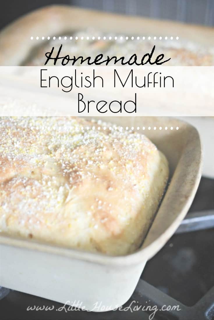 Homemade English Muffin Bread Recipe No Knead Bread