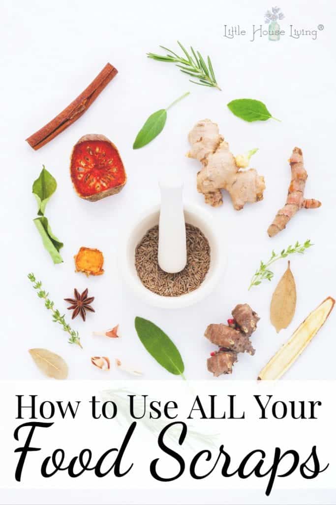 How to Use all your food scraps for now food waste.