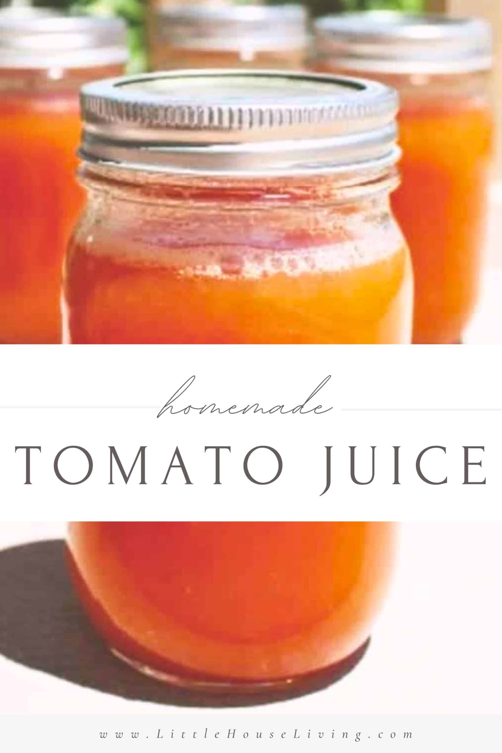 https://www.littlehouseliving.com/wp-content/uploads/2019/08/How-to-Can-Tomato-Juice-1-scaled.jpg