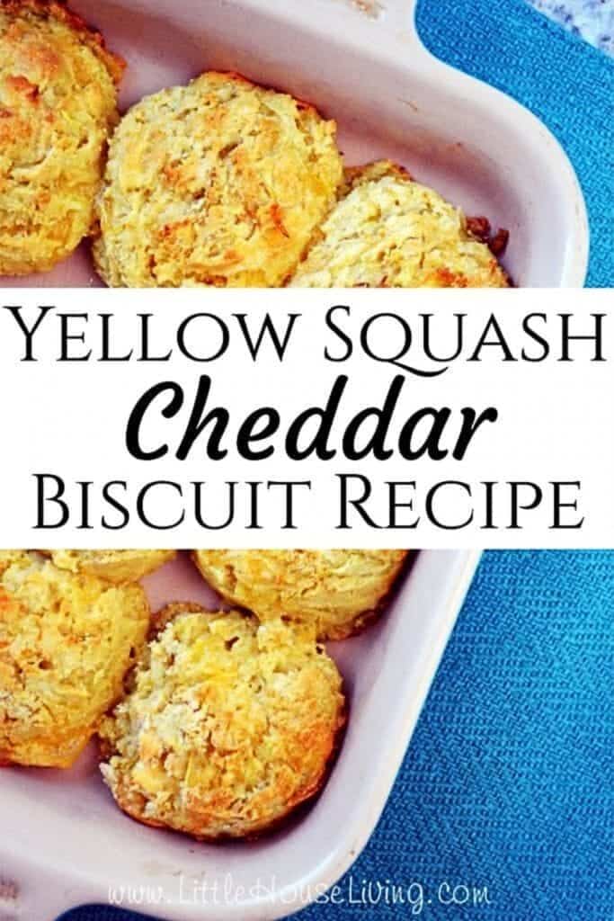 Looking for a delicious way to get more veggies into your diet? This Squash Cheddar Biscuit Recipe will make the whole family happy!