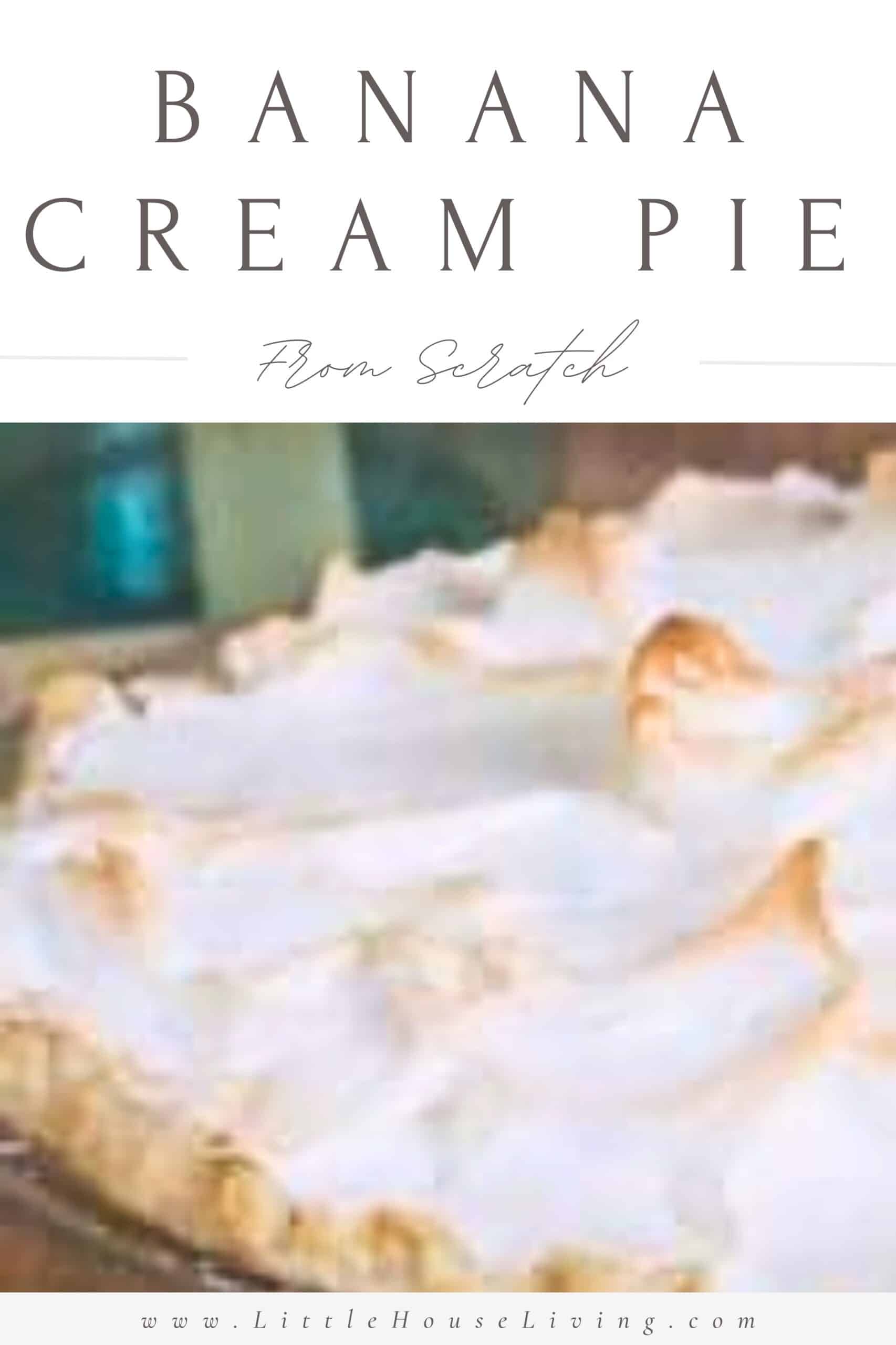 Do you love to enjoy a good homemade pie for dessert? This Banana Cream Pie recipe from scratch is delicious, easy to make, and looks beautiful with a homemade meringue piled high on top.